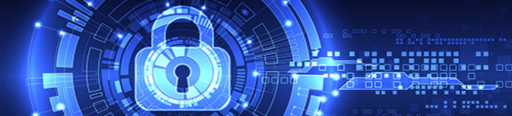 cyber risk im